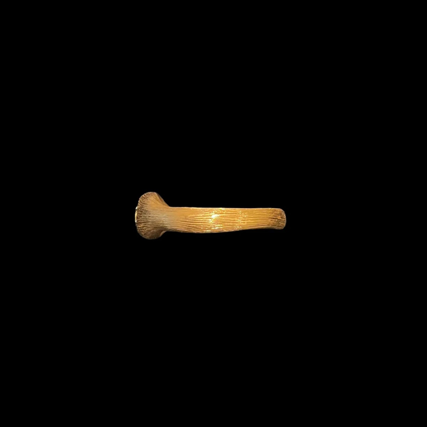 Primitive Series - Ring (Champagne color diamond)