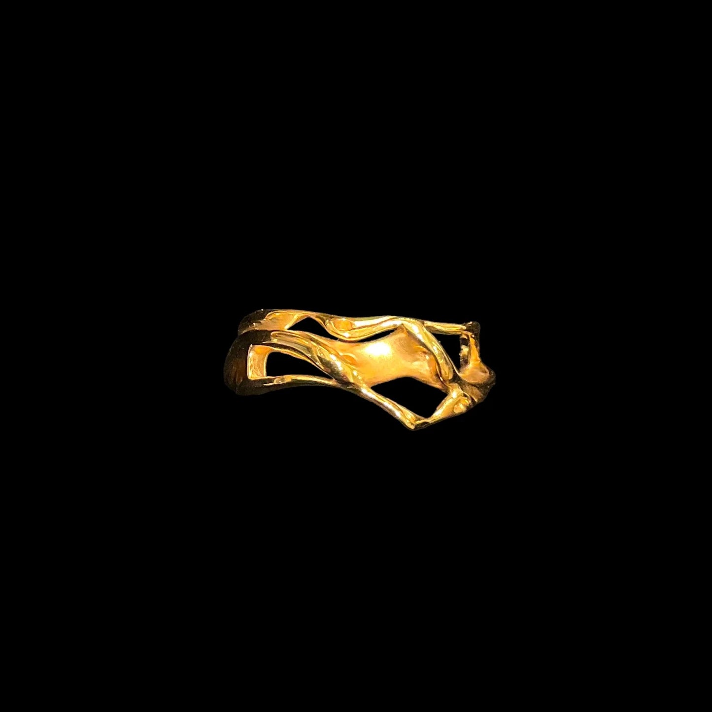 Lissajous Ring
