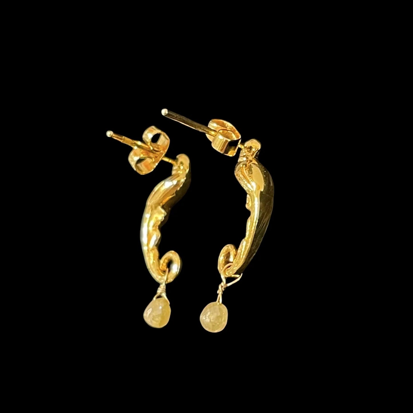Parrots Earrings