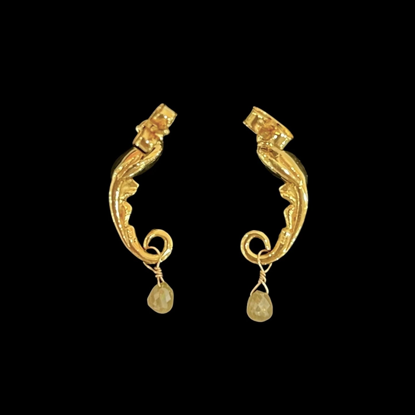 Parrots Earrings